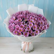 Букет цветов из:  Хризантемы #REPLACE_PRED# Менделеево