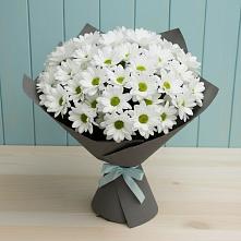 Букет цветов из:  Хризантемы #REPLACE_PRED# Менделеево