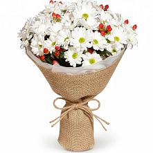 Букет цветов из:  Хризантемы #REPLACE_PRED# Менделеево